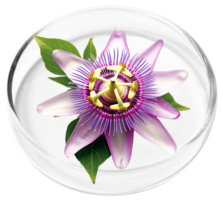 passion flower